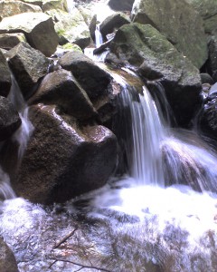 pic_0042 pic_0042