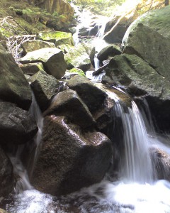 pic_0043 pic_0043