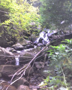 pic_0058 pic_0058