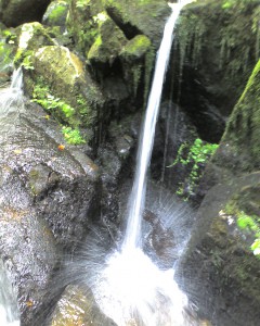 pic_0068 pic_0068