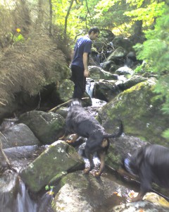 pic_0072 pic_0072