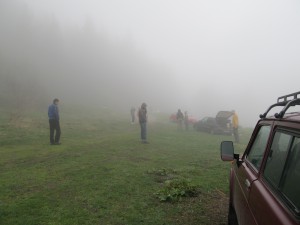 полянката в мъгла