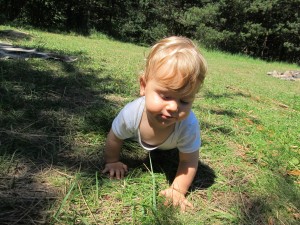 Да изследваме този представител на семейство Poaceae